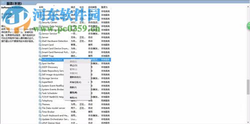 software protection 無法啟動(dòng)的解決方法