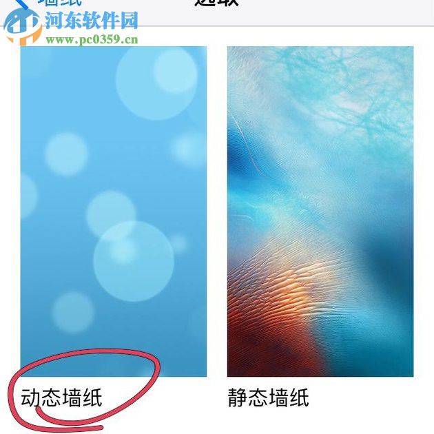 蘋果手機(jī)設(shè)置動(dòng)態(tài)壁紙的方法