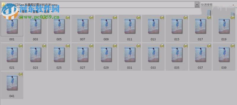 acdsee批量裁剪圖片的方法
