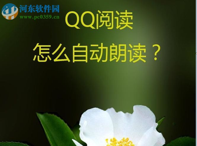 qq閱讀設(shè)置自動朗讀功能的方法