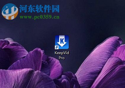 KeepVid 7下載網頁音樂的方法