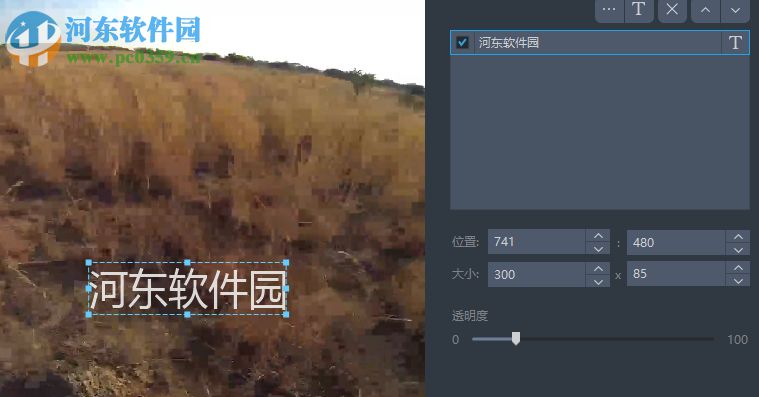 Apowersoft Streaming Video Recorder給視頻添加水印的教程