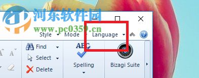 BizAgi Process Modeler設(shè)置中文界面的方法