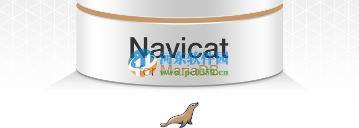 Navicat for MariaDB 11.1.13 官方版