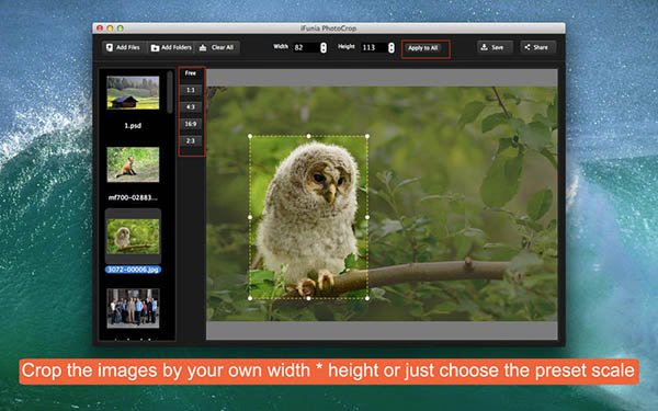 iFunia PhotoCrop Mac版 2.0.0