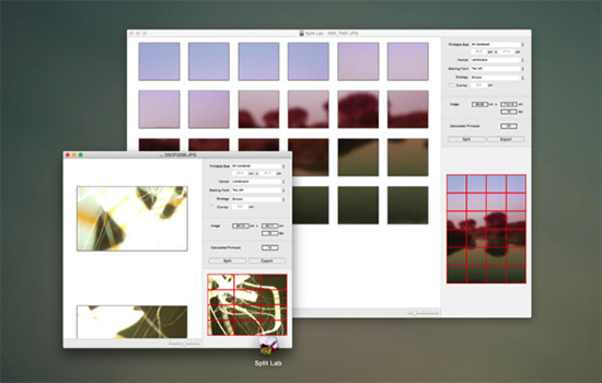 Split Lab for Mac版 1.0