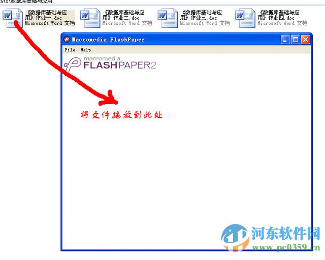 FlashPaper 2.2 終極漢化中文版 32/64位