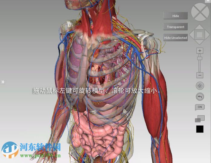 3DBody系統(tǒng)解剖下載 7.0 中文正式版無(wú)限制