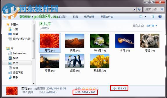 betterjpeg 附使用教程 2.0.0.9 中文綠色版