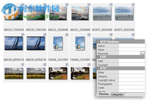 ACDSee Photo Manager 2009 11.0 漢化純凈安裝版