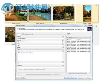 ACDSee Photo Manager 2009 11.0 漢化純凈安裝版