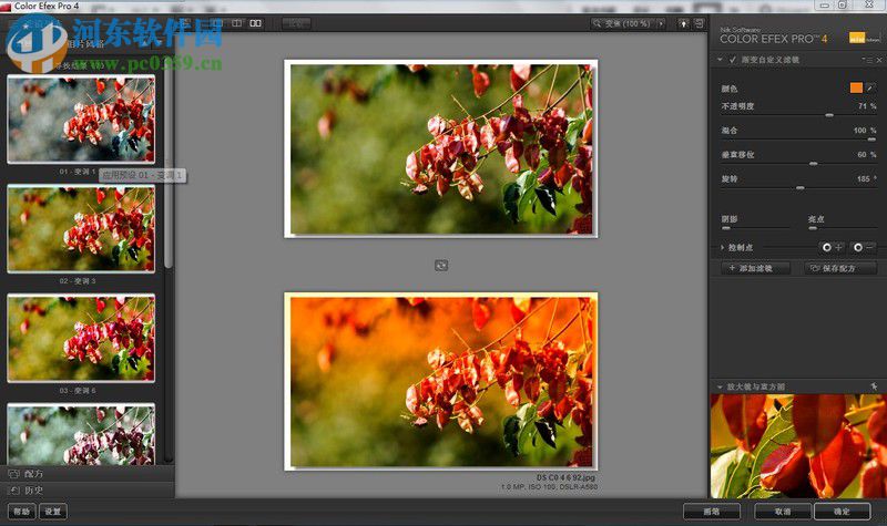 Color Efex Pro(調(diào)色濾鏡) 4.0 中文破解版