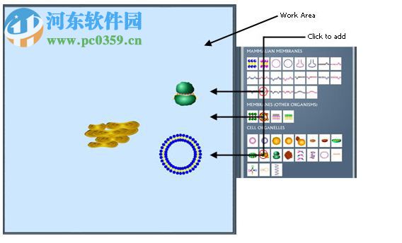 pathway builder tool(信號(hào)通路作圖軟件) 2.0 免費(fèi)版