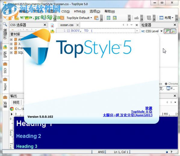 TopStyle Pro (網(wǎng)站制作軟件) 5.0.0.108 官方版