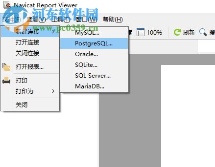 navicat report viewer漢化版(附注冊機) 11.1.13 簡體中文版