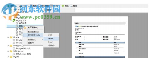 navicat report viewer漢化版(附注冊機) 11.1.13 簡體中文版