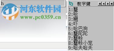 上海話拼音輸入系統(tǒng)(新派) 2017 中文免費(fèi)版