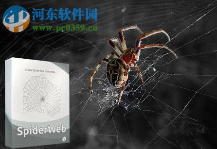 SpiderWeb C4D插件下載 2017 免費版