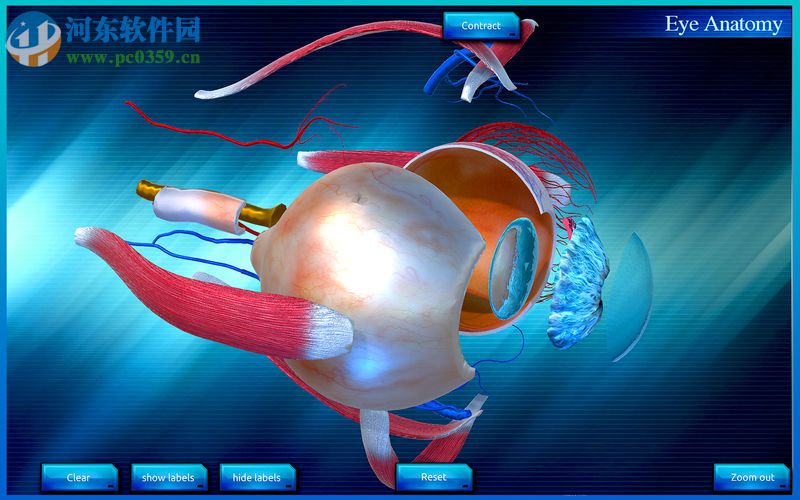 Eye Anatomy 3D for mac(眼睛3D解剖模擬軟件) 1.0 官方版