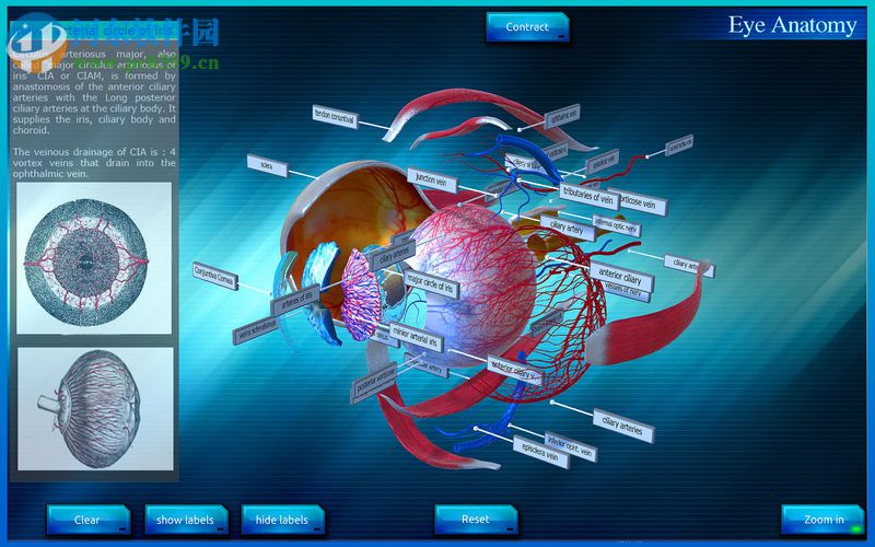 Eye Anatomy 3D for mac(眼睛3D解剖模擬軟件) 1.0 官方版