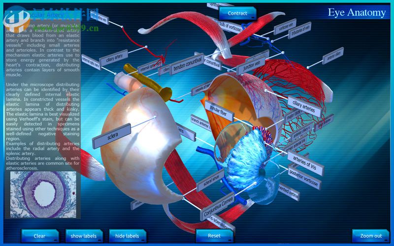 Eye Anatomy 3D for mac(眼睛3D解剖模擬軟件) 1.0 官方版