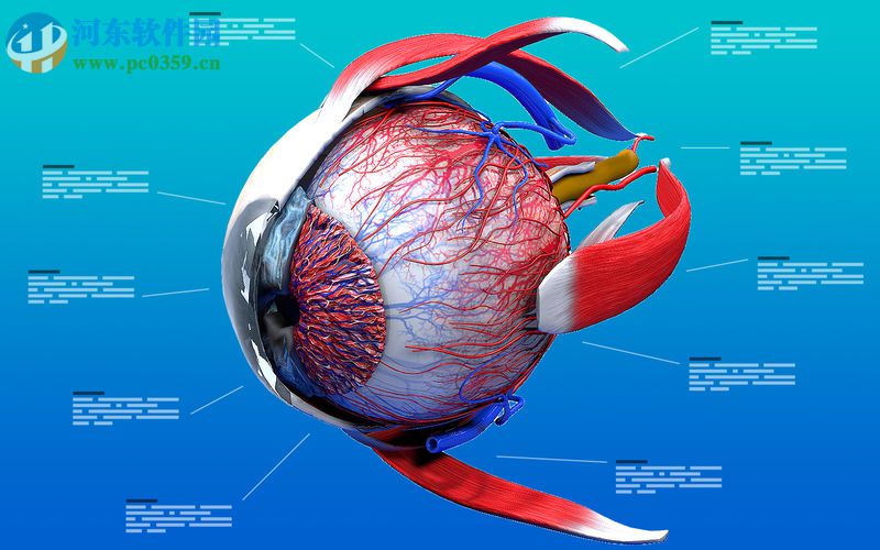 Eye Anatomy 3D for mac(眼睛3D解剖模擬軟件) 1.0 官方版