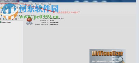 DbVisualizer Pro 64位下載 10.0.20 破解綠色版