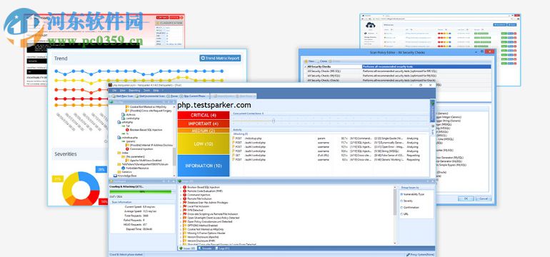 netsparker(web應用掃描工具)