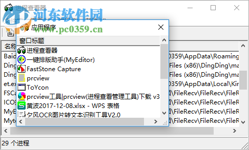 prcview(進(jìn)程查看管理工具) 3.5.3.8 中文版