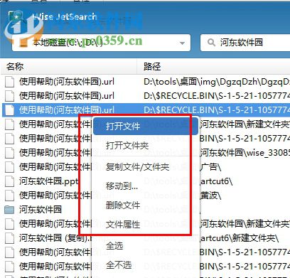 Wise JetSearch(文件快速搜索工具)