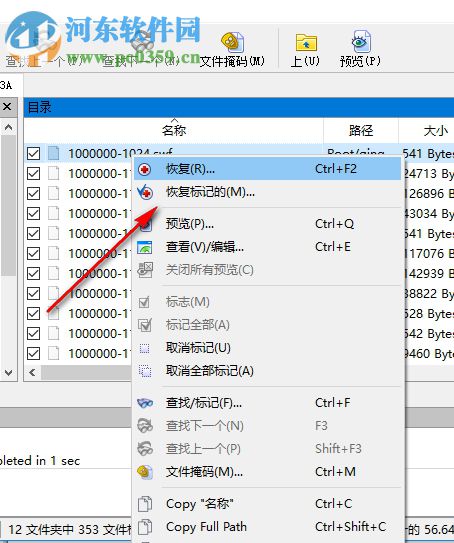 r-studio8.3下載(數(shù)據(jù)恢復(fù)軟件) 8.3.168003 漢化版