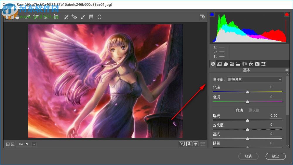 Adobe Camera Raw 10.1(RAW 文件處理工具) 中文版