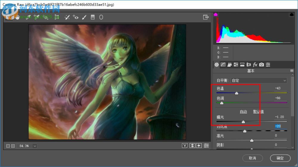 Adobe Camera Raw 10.1(RAW 文件處理工具) 中文版