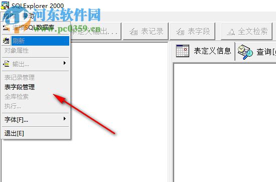 SQLExplorer 2000下載(數據庫管理工具) 3.0 綠色中文版