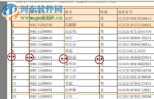 cogniview pdf2xl下載 4.1.2 漢化破解版