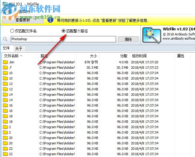 WizFile(文件快速搜索工具) 2.06 綠色版