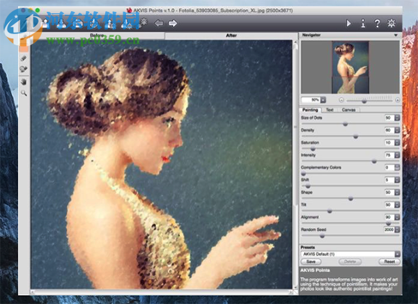 AKVIS Points(照片轉(zhuǎn)點(diǎn)彩畫軟件) 2.0 官方版