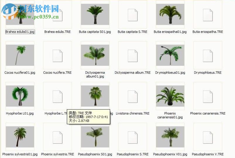 TreeStorm for 3dsmax(3DMAX樹(shù)木植被插件) 5.6.0.1 中文版