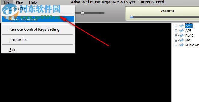 Advanced Music Organizer(音頻管理軟件) 1.8 官方版