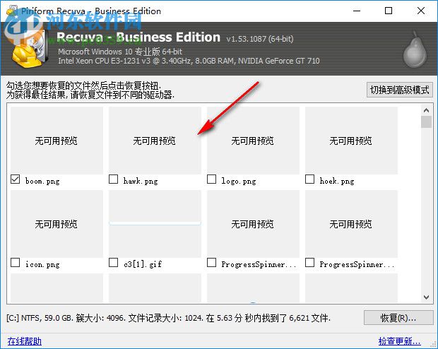 Recuva Business Edition(硬盤數(shù)據(jù)恢復(fù)軟件) 1.53.1087 中文綠色版