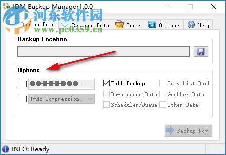 IDM Backup Manager(IDM備份管理軟件) 1.0.0 綠色版