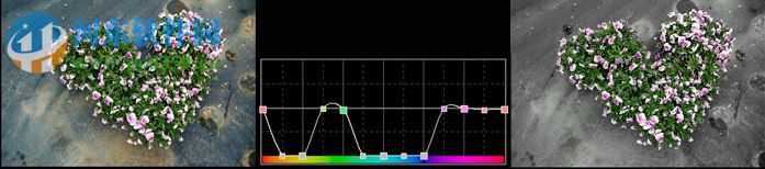 Light Developer(圖片處理工具) 8.0 官方版