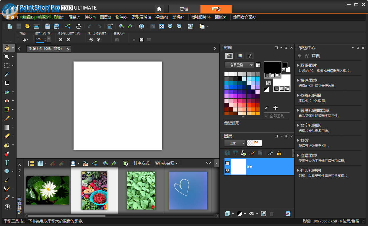 Corel PaintShop Pro 2019 21.0.0.119 中文綠色便攜版