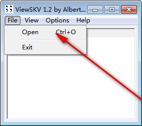 ViewSKV(SKV文件查看器) 1.2 綠色版