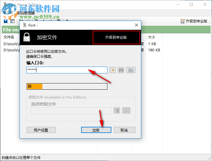 Fort Home Edition(文件密碼管理軟件) 5.0.0.0 中文版