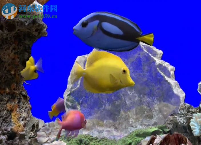 MarineAquarium3(屏保工具) 3.2.6066 免費版