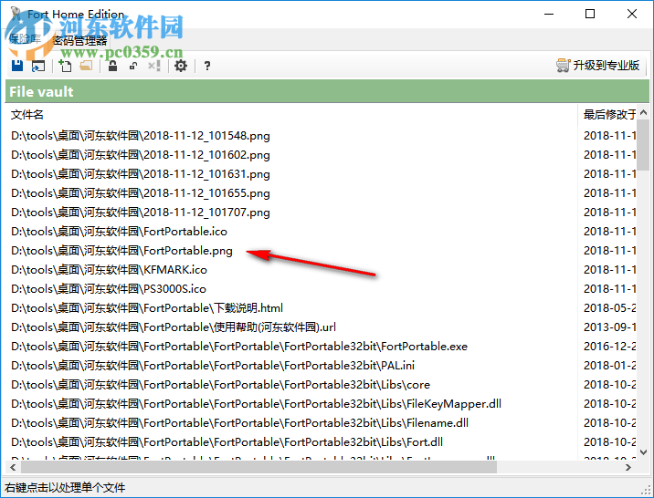 Fort Professional Edition(文件加密器) 4.1.0.0 綠色中文版