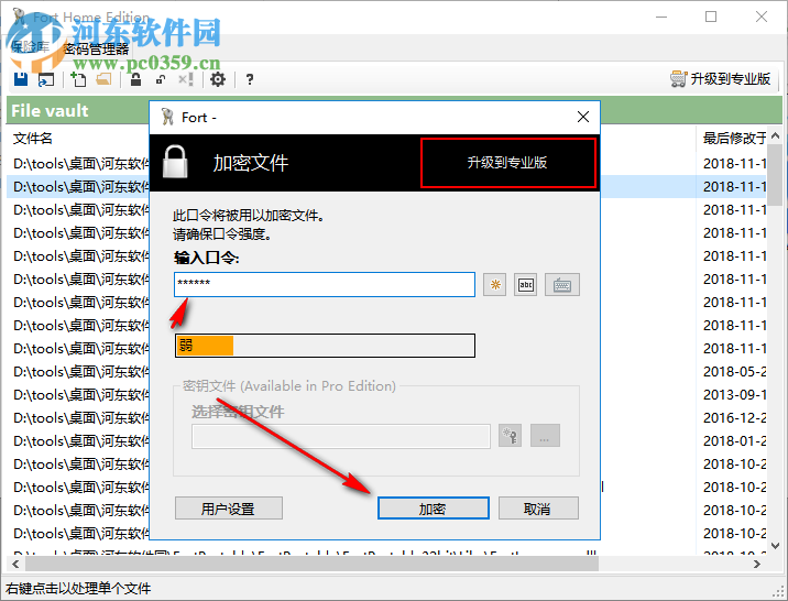 Fort Professional Edition(文件加密器) 4.1.0.0 綠色中文版