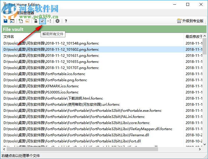 Fort Professional Edition(文件加密器) 4.1.0.0 綠色中文版