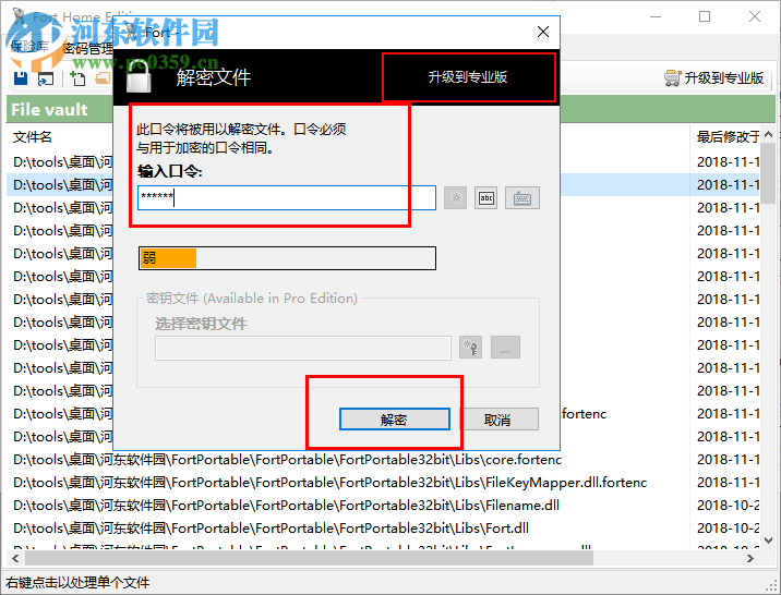 Fort Professional Edition(文件加密器) 4.1.0.0 綠色中文版